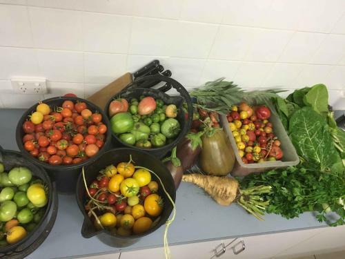Apartamento Coonawarra Cabins Unit A