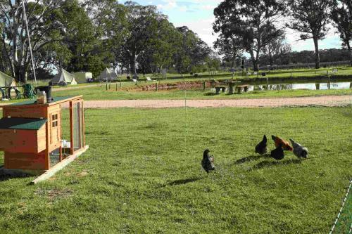 Apartamento Coonawarra Cabins Unit A