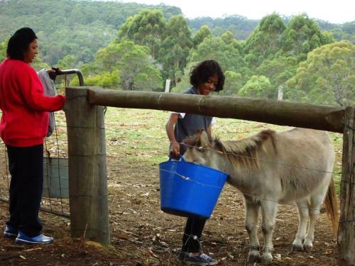 Agroturismo Misty Valley Country Cottages