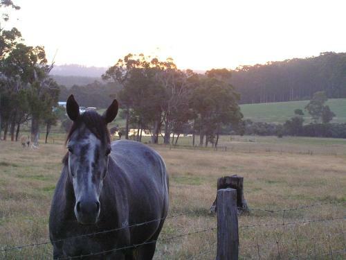 Agroturismo Misty Valley Country Cottages