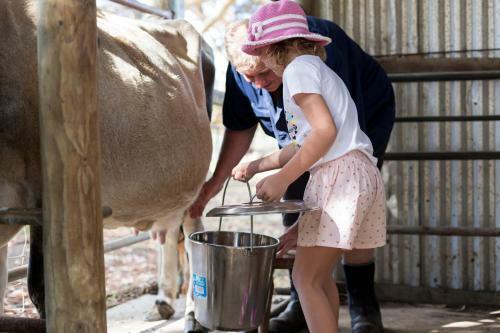 Agroturismo Misty Valley Country Cottages
