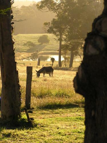 Agroturismo Misty Valley Country Cottages