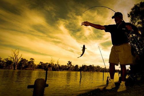 Rivergardens Holiday Park Mildura