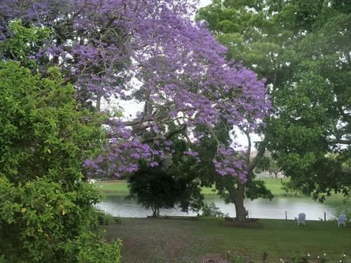 Hostal Providence
