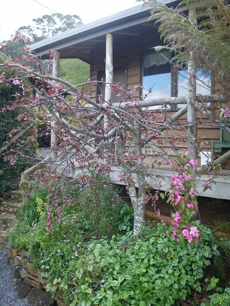 Mole Creek Cabins