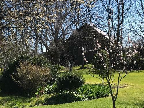 Somerset Beachside Cabin And Caravan Park