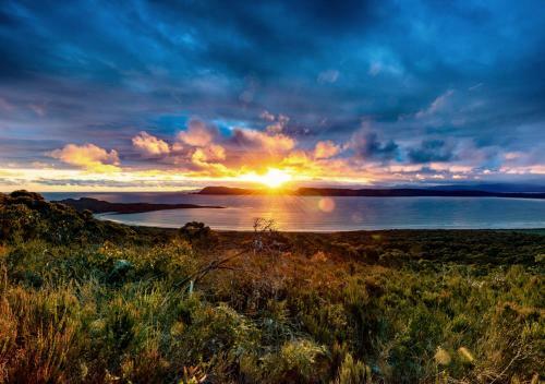 Cloudy Bay Cabin