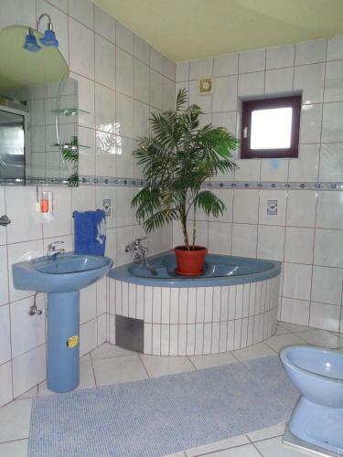 Hostal Sobe Rooms Amira