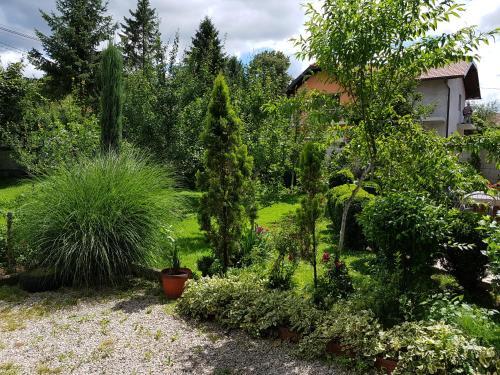 Hostal Apartment Paradise Enver