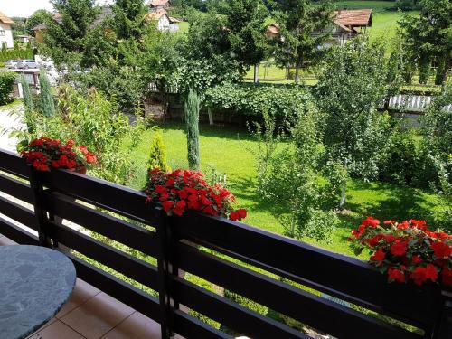 Hostal Apartment Paradise Enver