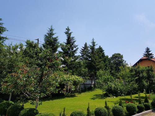 Hostal Apartment Paradise Enver