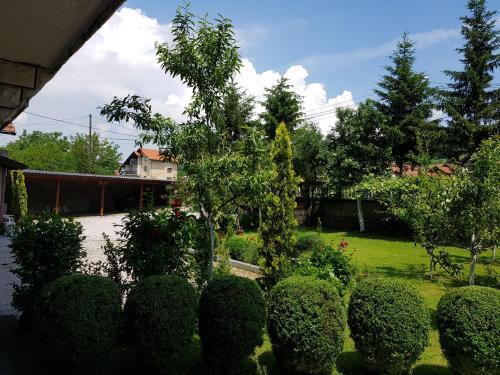 Hostal Apartment Paradise Enver