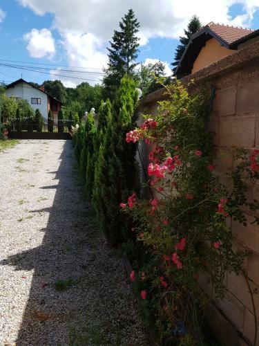 Hostal Apartment Paradise Enver