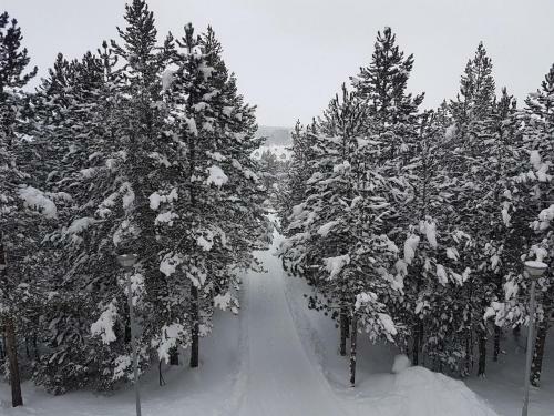 Apartments Bosco