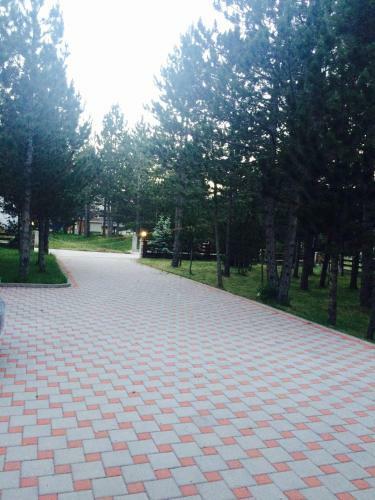 Vikendica Borna
