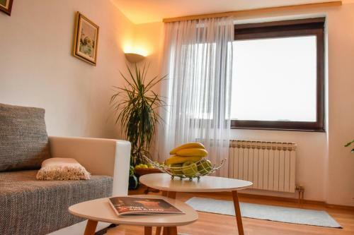 Apartment Lana Sarajevo Center