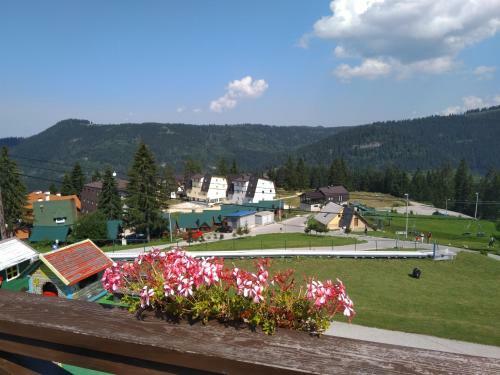 Apartman Asja