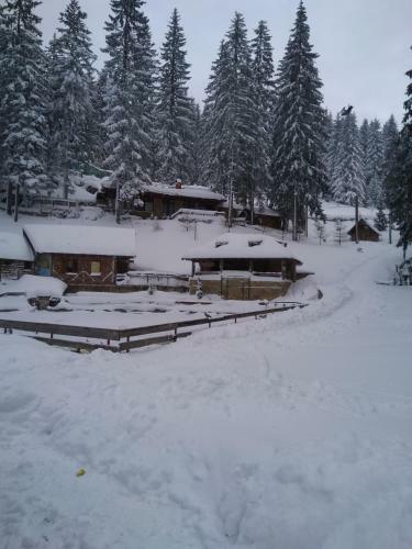 Apartman Asja