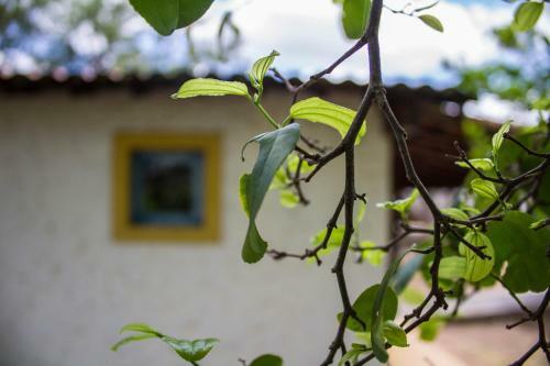 Hostal H&b Colina Do Flamboyant