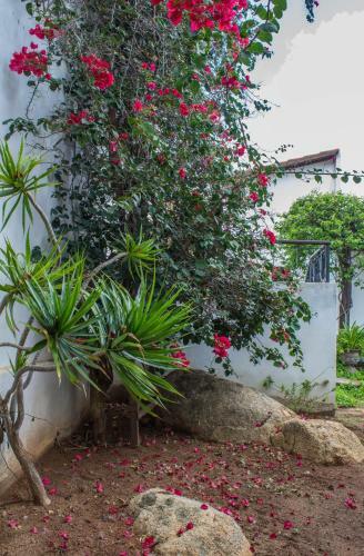 Hostal H&b Colina Do Flamboyant