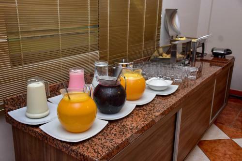 Hotel Plaza Sul