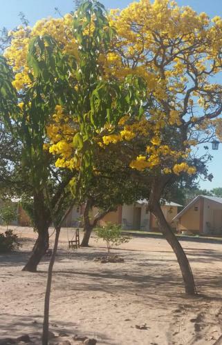 Lodge Pousada Encanto Do Jalap�o