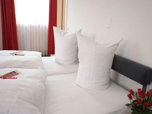 Posada Hotel Brauerei Frohsinn
