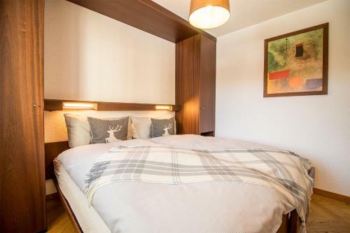 Apartamento Rothornblick 46