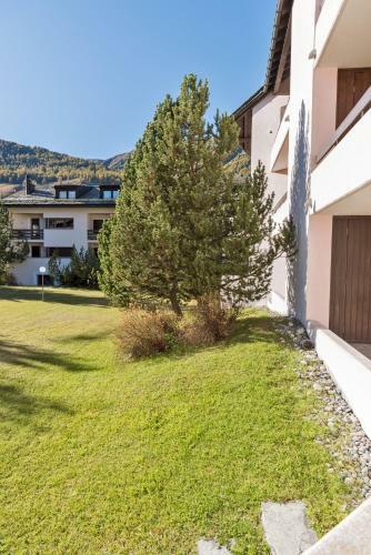 Apartamento Chesa Pradatsch Suot - Celerina