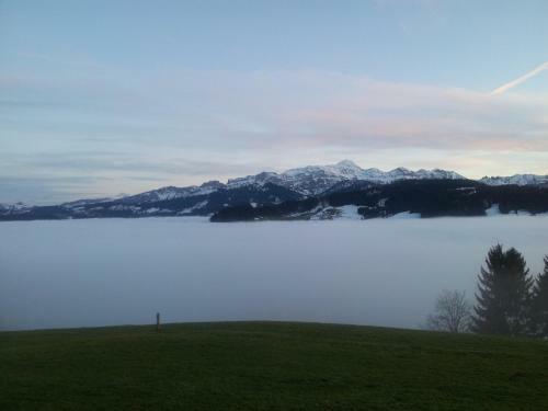 Hotel Garni Traube