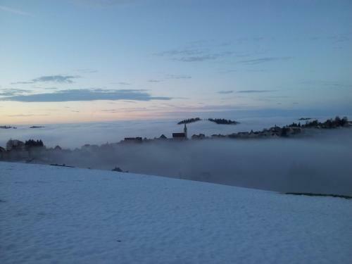 Hotel Garni Traube