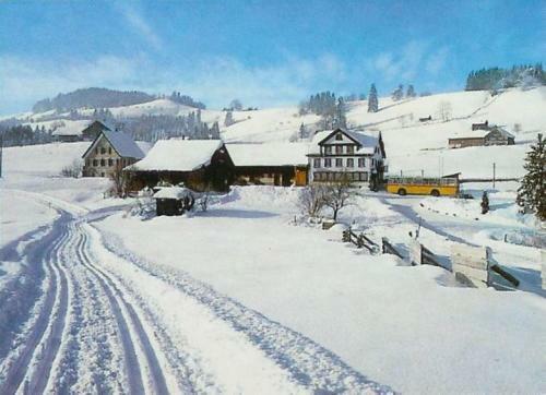 Hotel Garni Traube