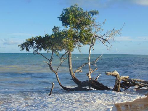 Hostal Pousada Ing�