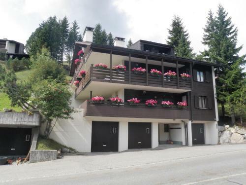 Apartamento Barlangia (253 Ho)