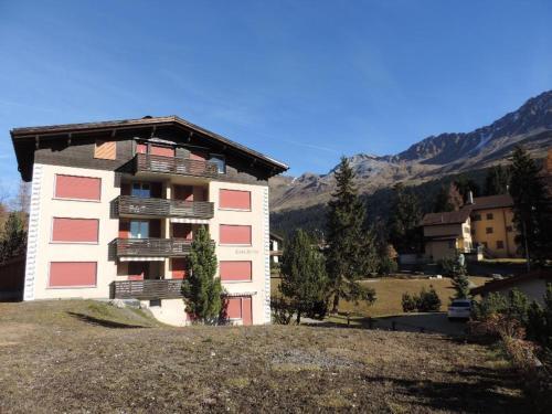 Apartamento Selva B (393 Sc)