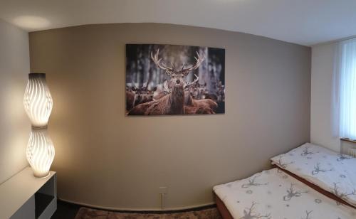 Apartamento Selva B (393 Sc)
