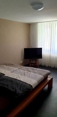 Apartamento Selva B (393 Sc)