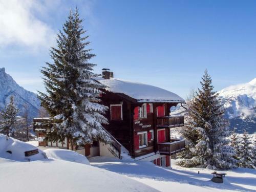Apartamento Chalet Ahorn