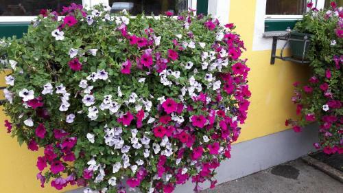 Posada Fischgasthof Aum�ller