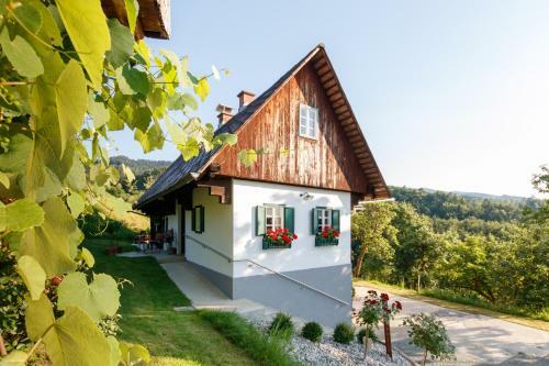 Ferienhaus Riegelnegg