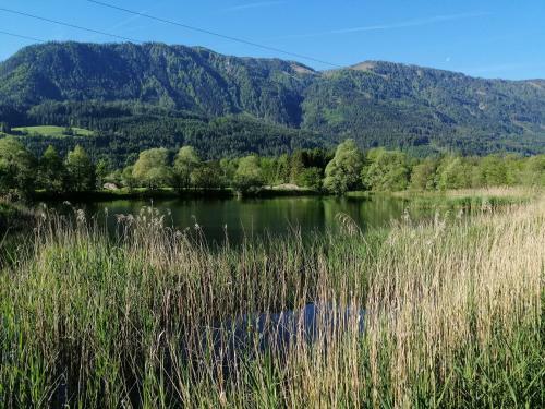 Fugo Campingplatz Drautal