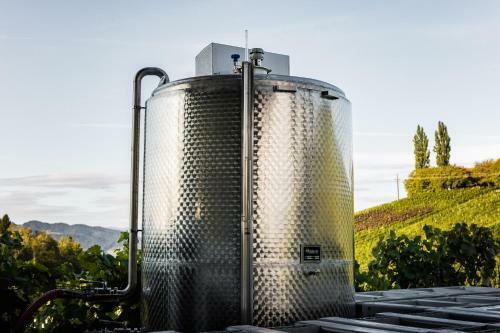 Hotel Weingut Tschermonegg
