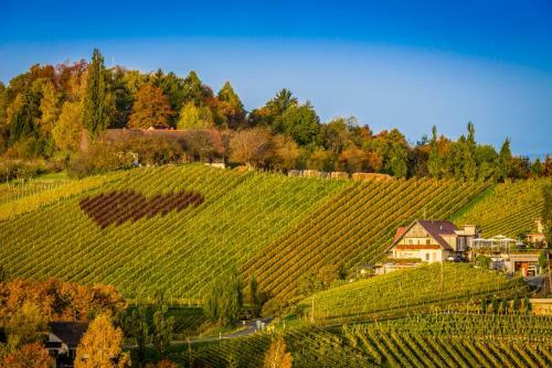 Hotel Weingut Tschermonegg