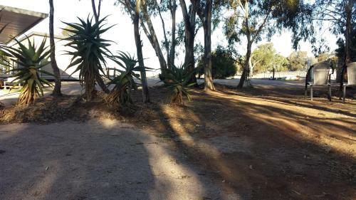 Motel Under The Mount