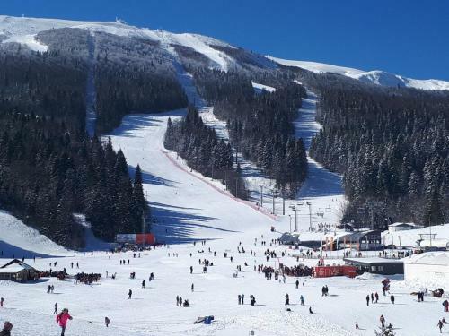 Apartman Sl Bjelasnica