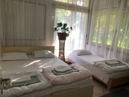 Apartamento Hanja