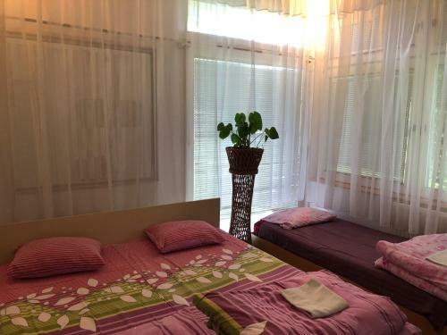 Apartamento Hanja