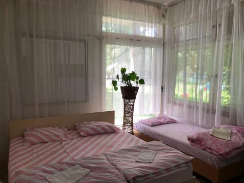 Apartamento Hanja