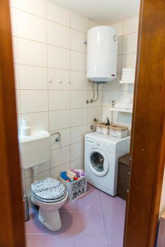 Apartman Titanic Lux
