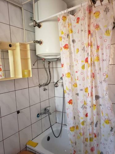 Apartman Mesanovic